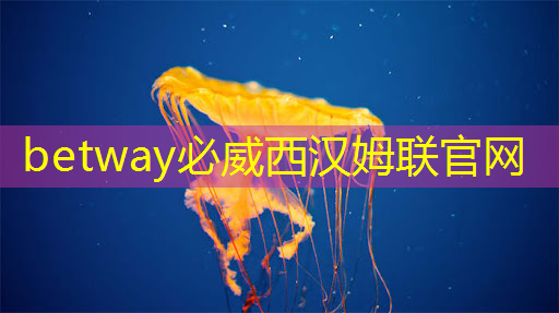 betway必威西漢姆聯官網：智慧投影：如何利用智能手機控制投影儀來增加便利性？