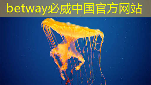 betway必威：家中私人影院打造利器：智慧樹和芝麻投影對比你能找到最好的選擇！