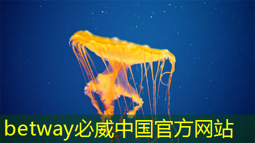 現代物流管理 智能物流